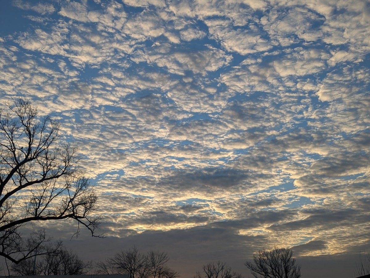 The Sky to be&nbsp;Blue